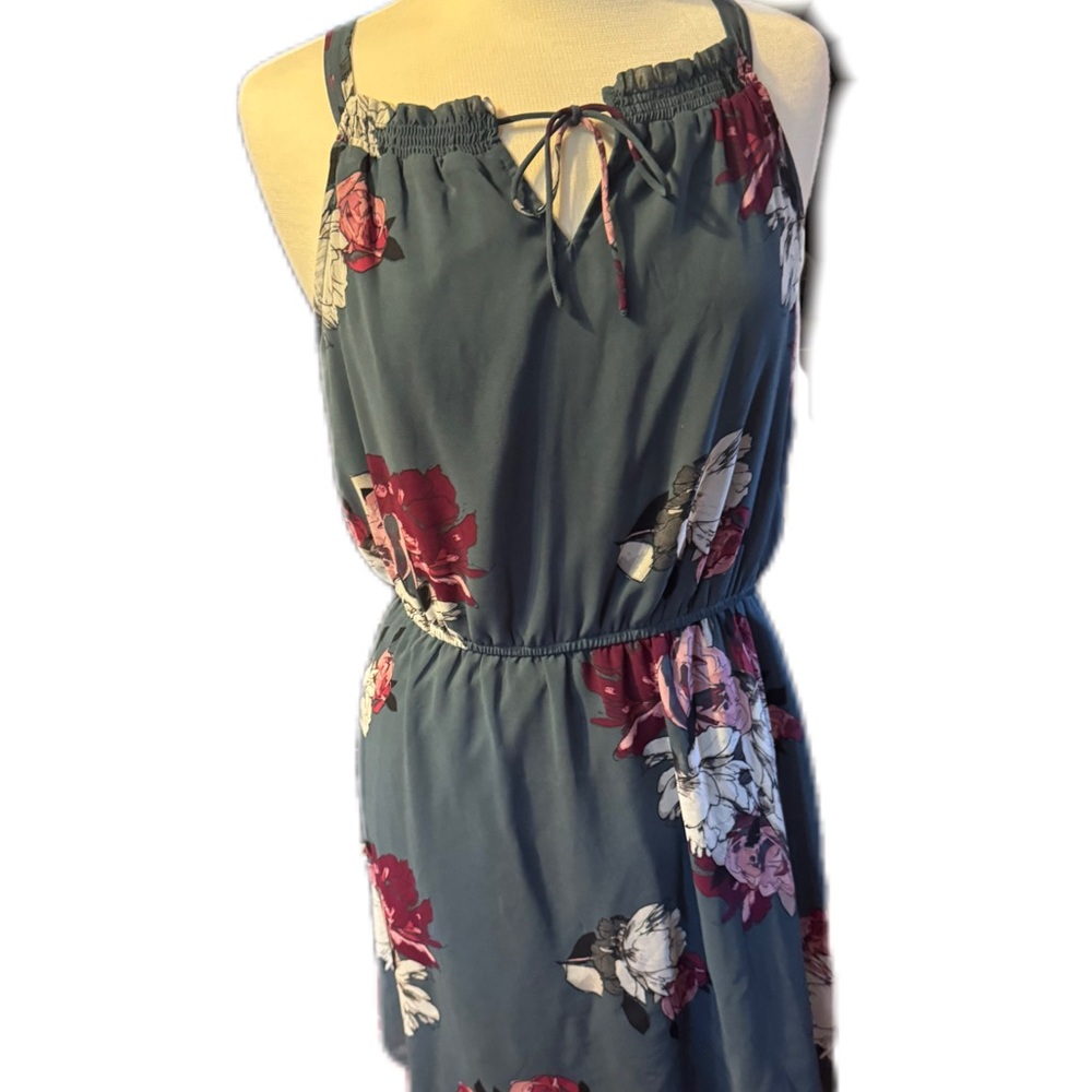 Maurices Floral Print Mini Dress in Blue and Red